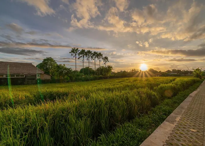 Villa Casa Melosa 2 : Charming And Intimate 1br Nestled In Umalas