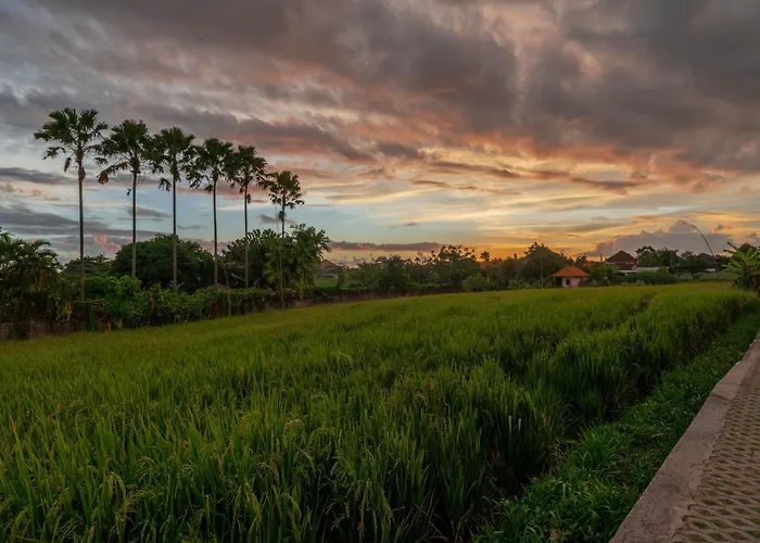 Casa Melosa 2 : Charming And Intimate 1br Nestled In Umalas Villa Canggu